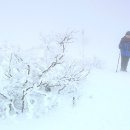 겨울나그네 이미지