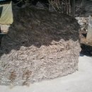 당산할머니경로당 이미지