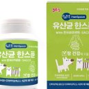 장보는강아지와 고양이 성성점 | 38.5 고양이장건강 펫 유산균 추천