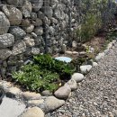 스테이 촌 이미지