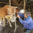 민국농장 이미지