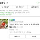 오일농장 이미지