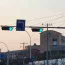 서울선사초등학교 이미지