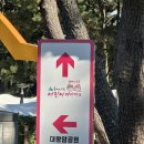 테마파크 | 울산 아이랑 갈만한곳 울산 시립어린이테마파크 후기