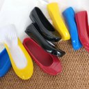 꽃신 구절초 이미지