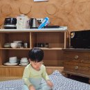 둘레길황토방민박 | 강진 황토방 촌캉스 숙소 후기 [다산황토방펜션]다산박물관