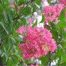 종합청사 이미지