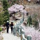 견우와 직녀 이미지