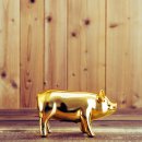 부자돼지 이미지