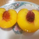 고려황토농원