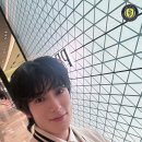 착한 고양이 이미지