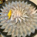 순천축산농협 | 순천 여행 광어 농어 모둠회 153크랩&amp;횟집 룸식당 내돈내산 후기