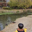 서천공원 이미지