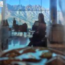 소노펠리체 델피노 이미지