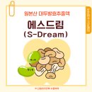 에스장케어