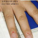 인사불성 이미지