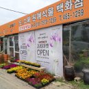다향화원