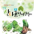 근화동 206 티스토리