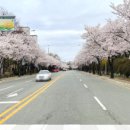 웰메이드평택