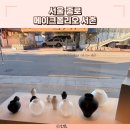 메이드메이크(made,make) | 메이크폴리오 서촌 리빙샵 소품샵 도자기 그릇 편집샵 서촌 가볼만한곳