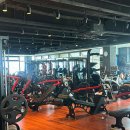 Y-GYM 이미지