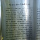거류면사무소 네이버블로그