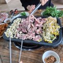 대저오리 네이버블로그