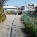 대갈장군찜 이미지