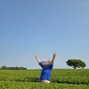 제주도 쏠라티 렌트 친절한 기사님과의 제주 여행 후기