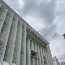 마산종합운동장 올림픽수영장 | 수린이의 자유수영 수영장 방문기🏊