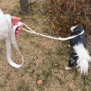 미터 | 하밋 리드미터 내돈내산 후기