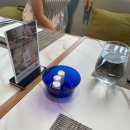 노보텔 앰배서더 서울 동대문 호텔 | [노보텔 앰배서더 동대문] 평일 디너 뷔페 후기 | 서울 호텔 뷔페 가성비