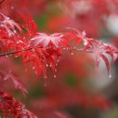 하늘연못팬션 이미지