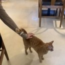 대창인생 이미지