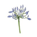 피난시절의 천막학교 이미지