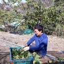 달뜨기흑염소목장 이미지