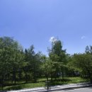 태백로-2 이미지