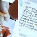 제스트(ZEST) 이미지