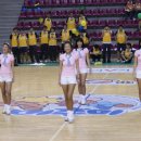 용인실내체육관 이미지