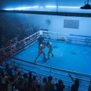 마르코농장 이미지