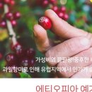 네츄럴팩토리 이미지