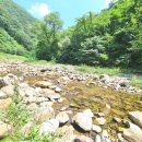 강가의 추억 | [충청도대가족독채펜션] 방4개 화장실4개! 단양 강가의아침펜션 솔직 후기 (단양가족독채펜션)