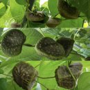 하늘농약사 이미지