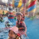 연세경인 태권도 이미지