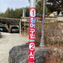 유동민물장어