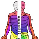 삼삼한의원 이미지