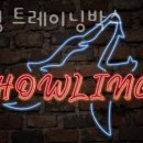 트레이닝 박스 하울링 이미지