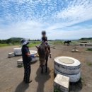 가시리농촌체험휴양마을 이미지