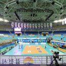 배구 경기 관람 이미지