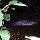 록키모텔 이미지